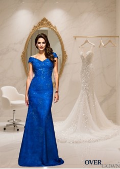 Lace Mermaid Mother of the Bride Evening Dress with V-Neck and Sweep Train