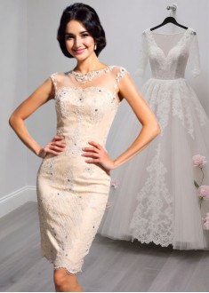 Short Jewel Neck Lace Bride Mother Party Dress Sleeveless Column