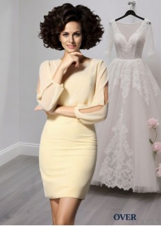 Short Chiffon Jewel Neck Mother of the Bride Dress – Long Sleeve Short Dresses