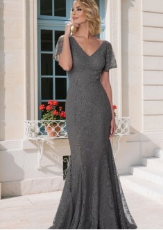 Elegant Lace V-Neck Sheath Mother of the Bride Dress with Illusion Sleeves Full Length
