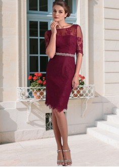Elegant Lace Bateau Neck Mother of the Bride Dress with Illusion Sleeves – Sheath Knee Length