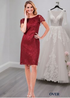 Knee Length Lace Mother Dress for Party – Sheath Gown for Occasions