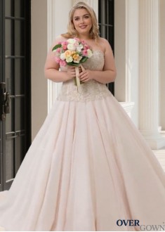 Elegant Plus Size Tulle Sweetheart Sleeveless A Line Wedding Dresses