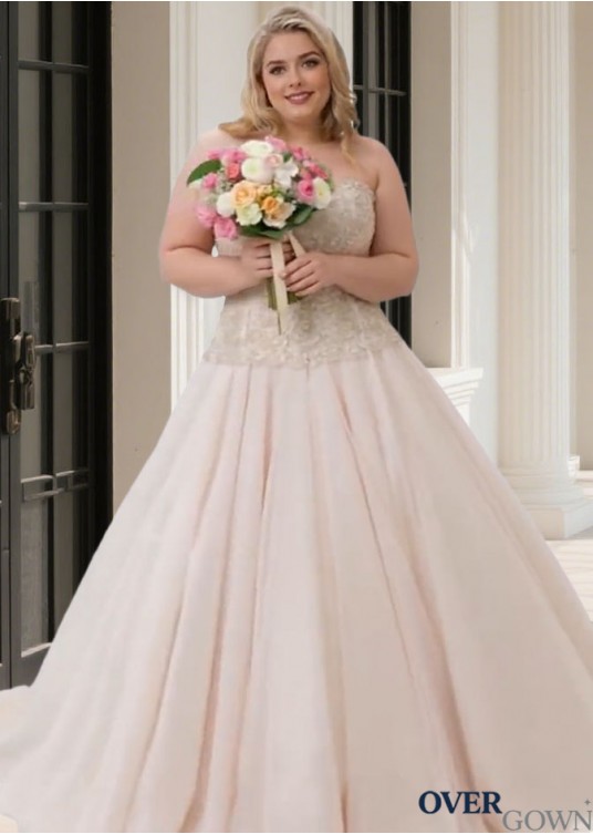 Elegant Plus Size Tulle Sweetheart Sleeveless A Line Wedding Dresses Elegant Plus Size Tulle Sweetheart Sleeveless A Line Wedding Dresses
